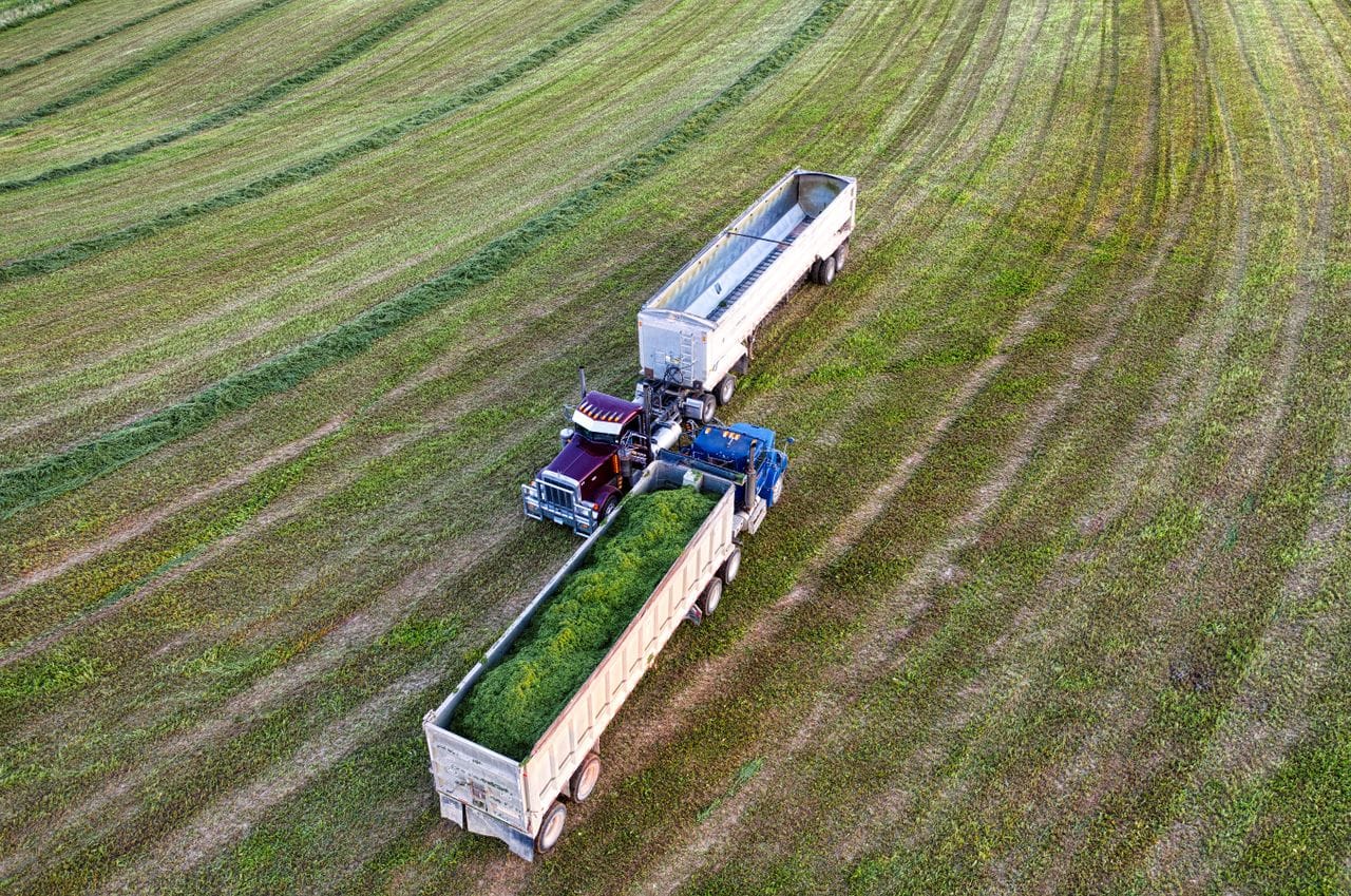 Field crops and seeds
